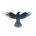 RAVEN-Raven Protocol