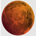 RISKMOON-Riskmoon