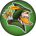 HOOD-ROBIN HOOD