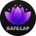SFC-SafeCap Token