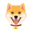 SAFEDOGE-SafeDoge