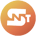 SNT-Share NFT Token
