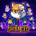 Shiba CEO