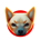 SHIBGUN-Shibagun