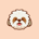 SHIH-Shih Tzu