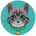 CATSHIRA-Shira Cat