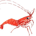 SHRIMP-Shrimp Finance