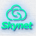 SN-Skynet Chain