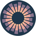 SourceCred-SourceCred