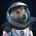SDOGE-SpaceXDoge