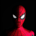 SPIDER-Spider Man