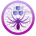 SPDR-Spider Coin