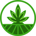 Strains Finance