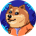 DOGEBROS-Super Doge Bros