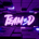 VIDYA-Team3D