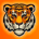 TIGER-TIGER COIN