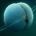 Bitfinex