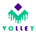 VOY-Volley token