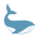 Whale Token