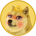 WIFEDOGE-Wifedoge