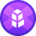 xBNT