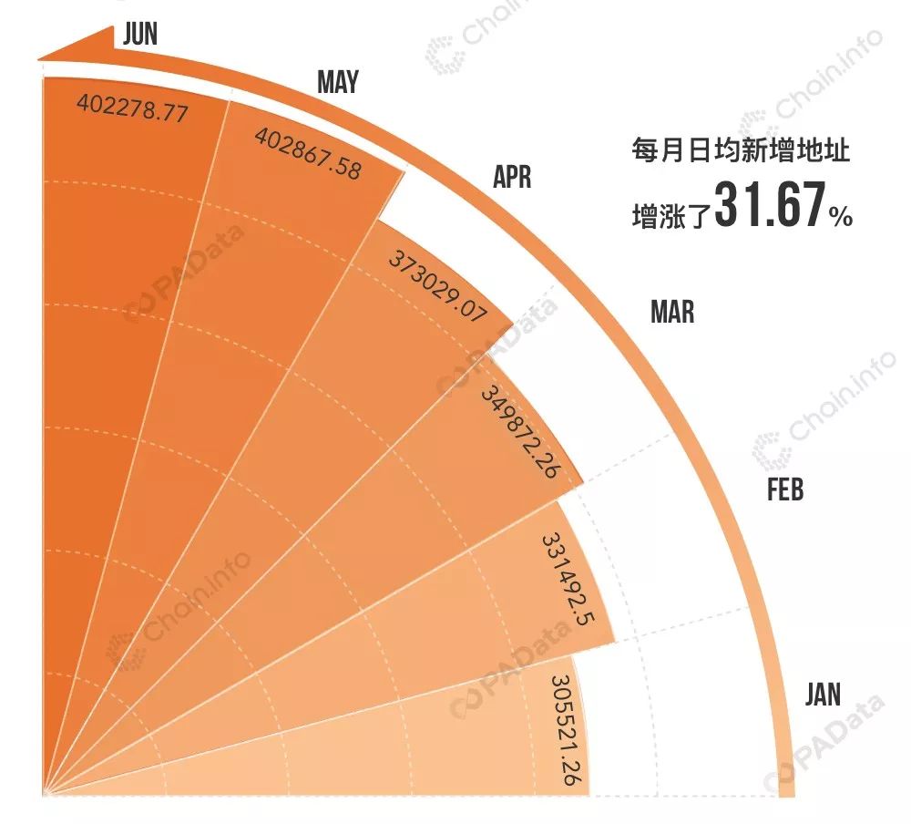 BTC链上数据透视：78%的巨鲸地址无支出，日活地址半年增长40%
