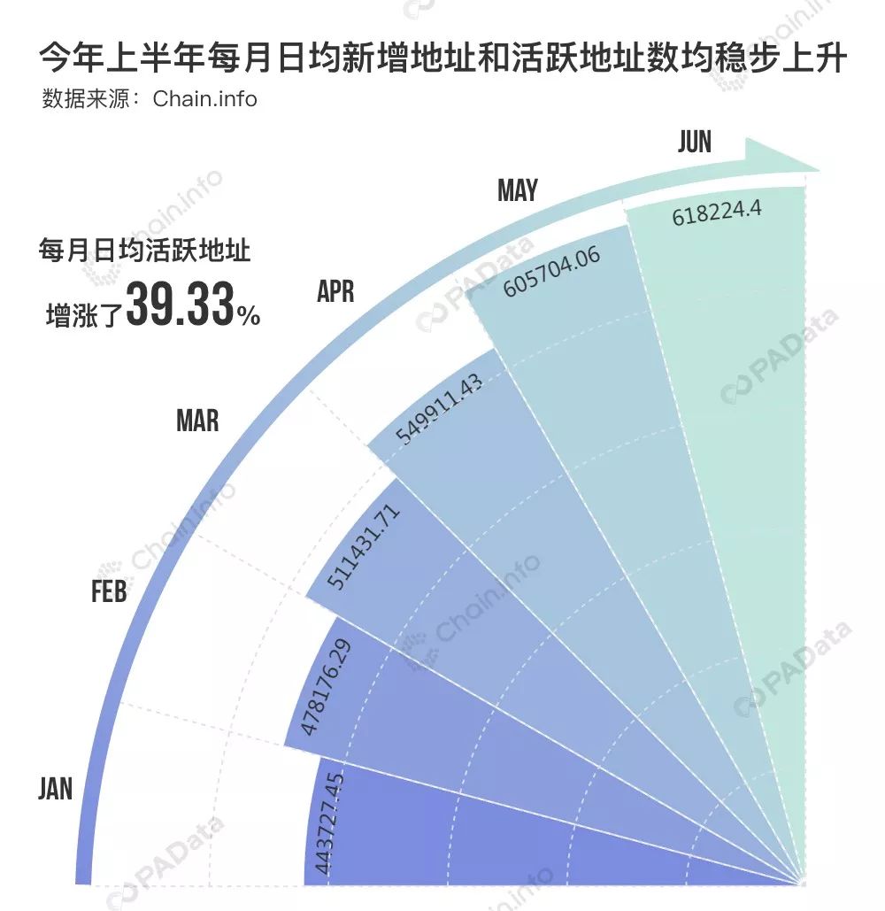 BTC链上数据透视：78%的巨鲸地址无支出，日活地址半年增长40%