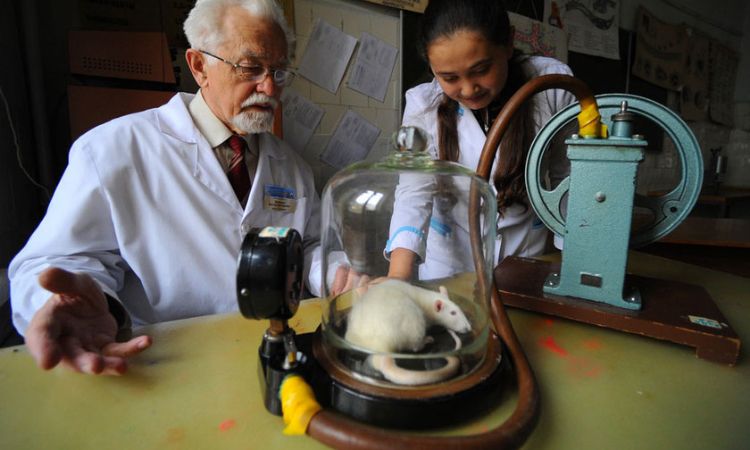 评论：现在币圈是什么？链圈又是什么？将来呢？