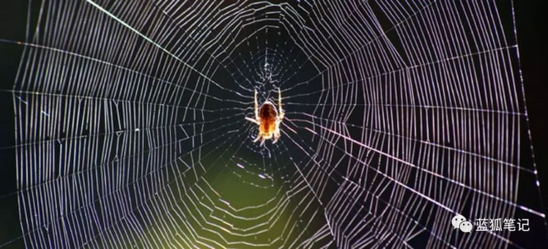 分析：比特币的价格完全由投机驱动吗？