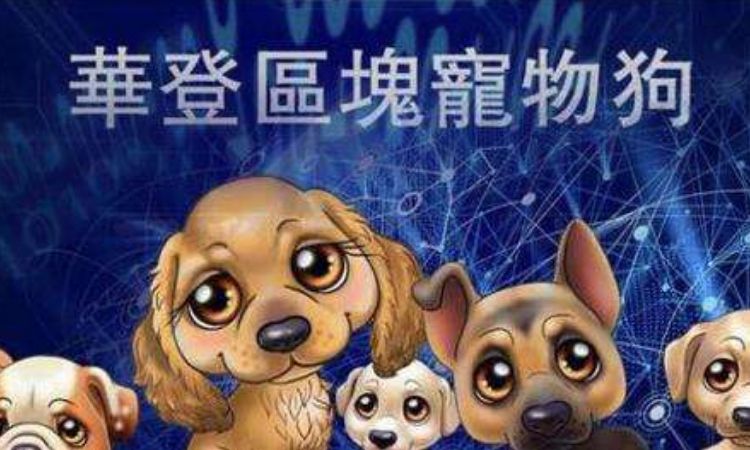 什么样的资金盘能活一年，还上了热搜？