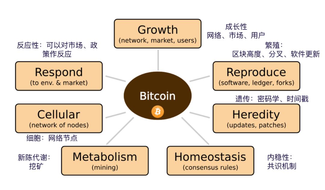 Proof of Life：为什么说比特币是一种生命体？