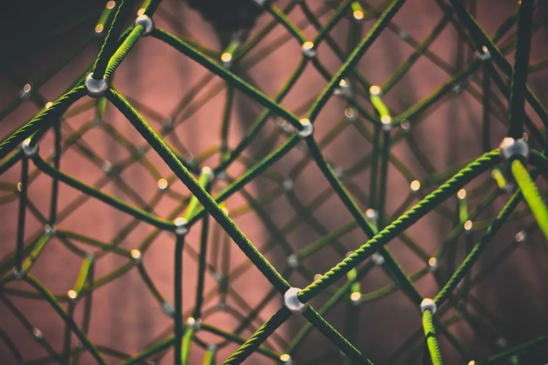 “ZAO一下”背后的隐私争议:区块链世界将做得更好?