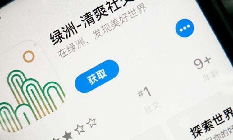 新浪绿洲们的通证尬局