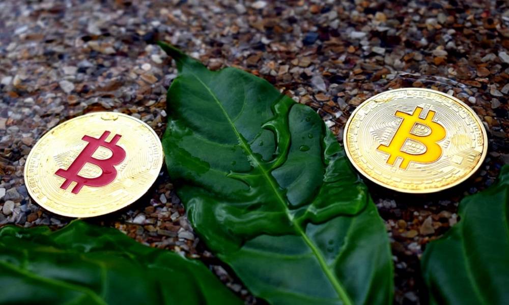 比特币应该成为行业基准，资深基金创始人揭秘投资战略
