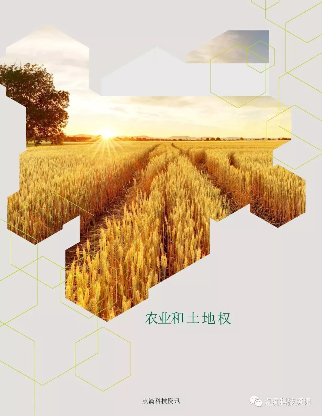 巴比特专栏 | 斯坦福：2019区块链社会影响力报告