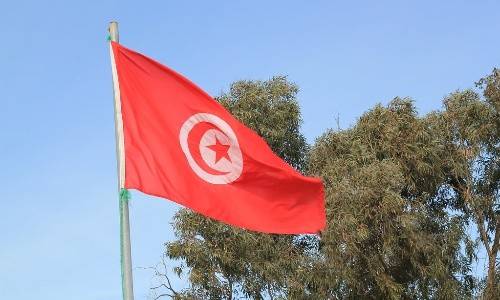 突尼斯成为首个发行央行数字货币的国家