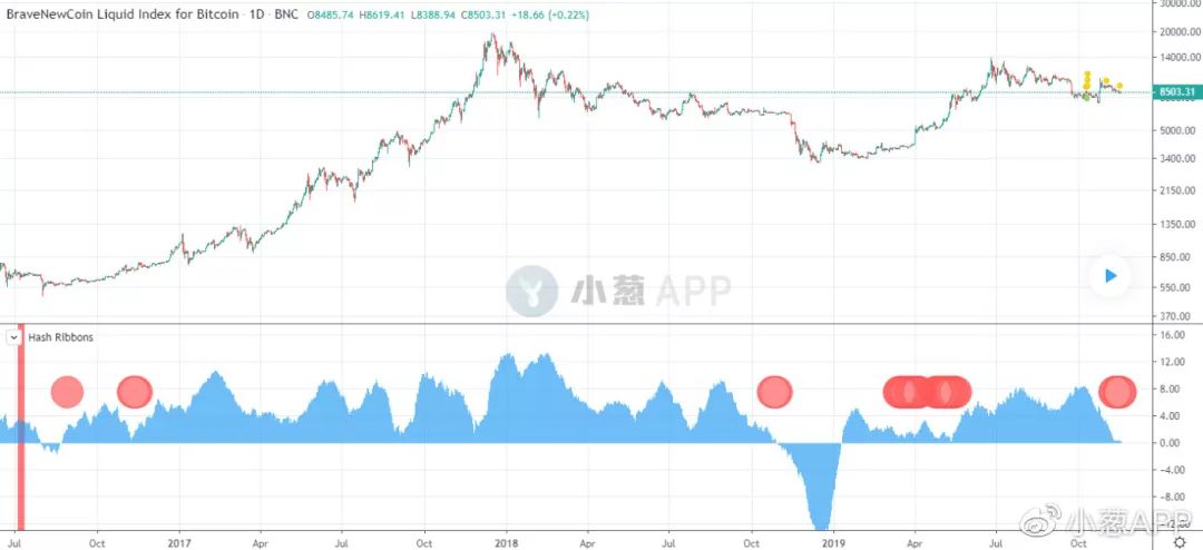 哈希率变化暗藏玄机，BTC抄底机会这次真的来了？