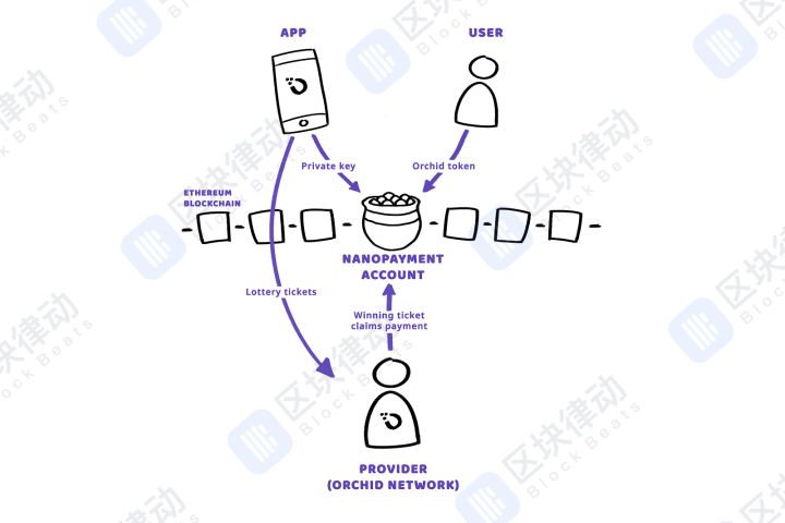 这20个即将主网上线的项目会对区块链行业带来怎样的影响