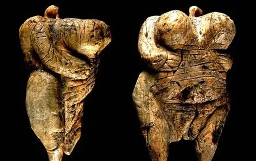 人类的600万年，信任的600万年