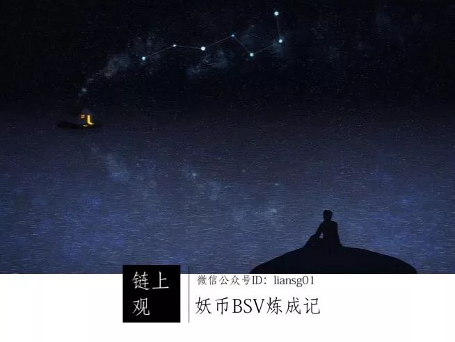 “不疯魔,不成活”——妖币BSV炼成记