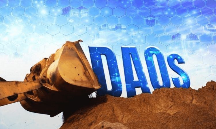 DAO复燃一年之际,有人梳理了一下全球之DAO