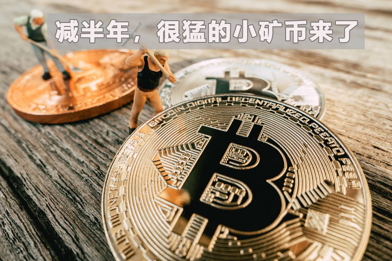 22种减半币引爆2020:凶猛小矿币,带你游走天堂地狱