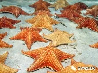 海外疫情仍在蔓延，去中心化组织是否就此崛起？