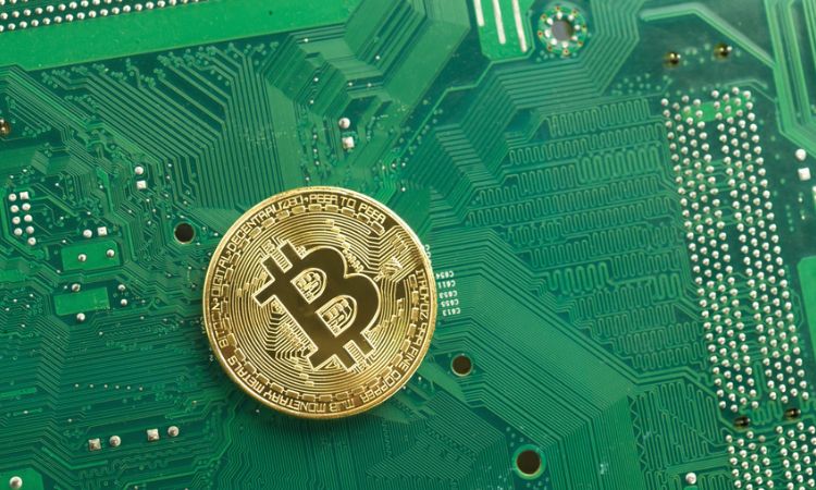 观点 | 这次减半或将再次催生比特币百万富翁阶层
