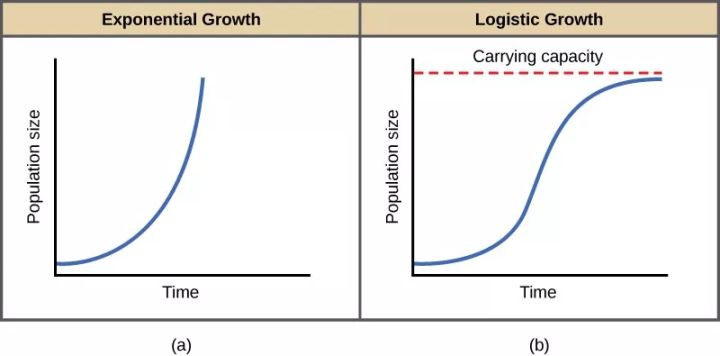 深度 | 网络、细菌与人口：比特币的命运