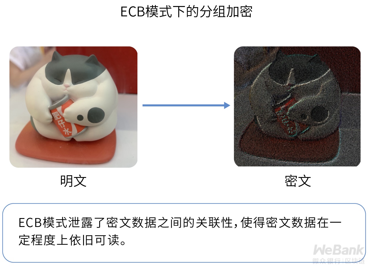 密码学原语如何应用？解析密码学特有的数据编解码