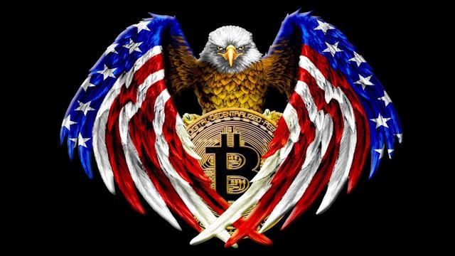 灰度投资母公司CEO：美国或不再颁布“禁止比特币”的法令