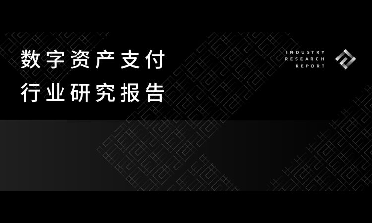 数字资产支付行业研究报告
