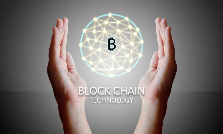 另类的Solana：不走分片之路