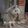 如何让你的数字资产安全保值？你还差这个！